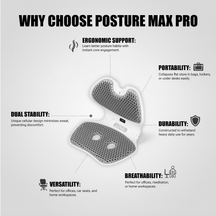 Posture Max Pro
